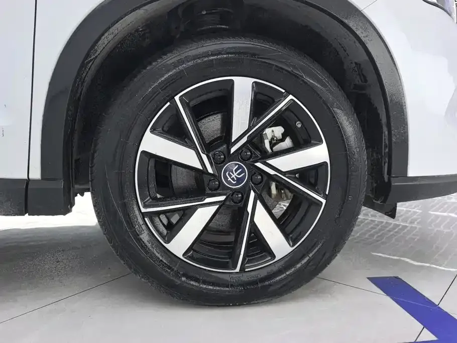 BYD Pro New Energy 2024 из CN, фото 10