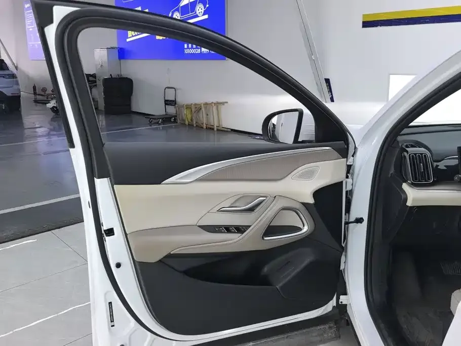 BYD Pro New Energy 2024 из CN, фото 6