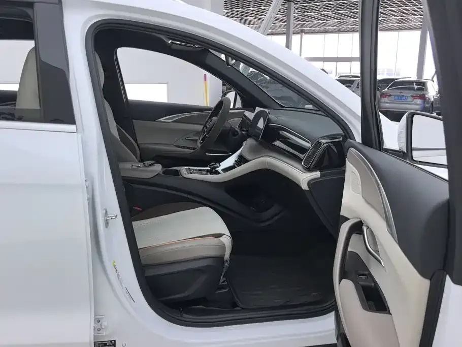 BYD Pro New Energy 2024 из CN, фото 8