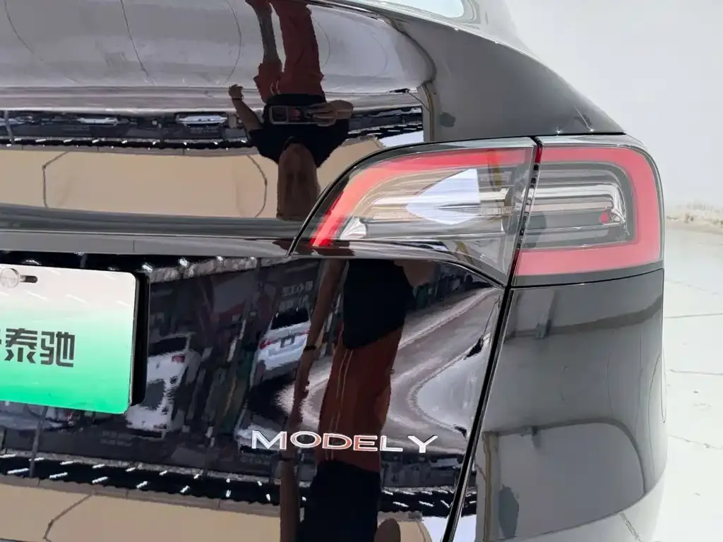 Tesla Model Y — фото 10