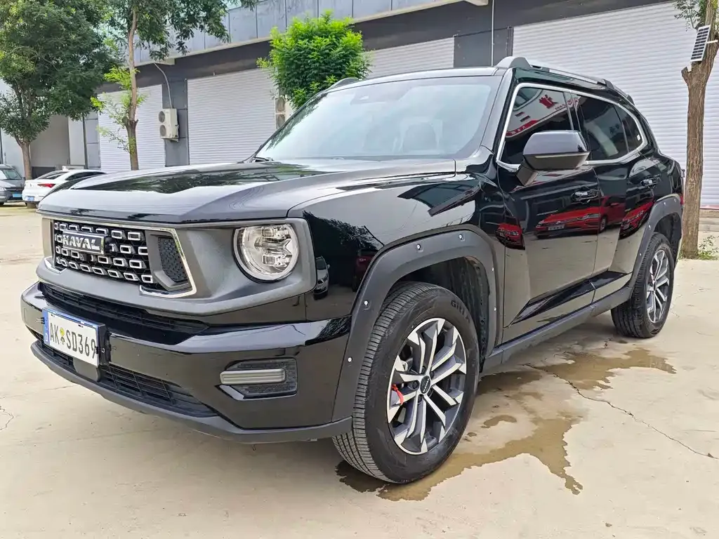 Haval H7 (Big Dog Plus) — фото 1