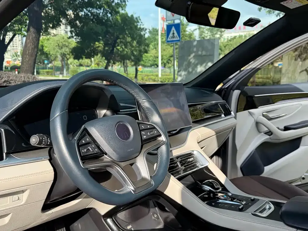 BYD PLUS New Energy — фото 10