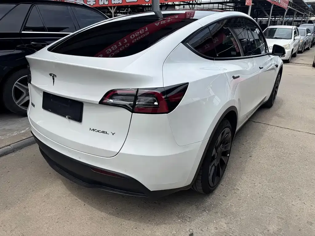 Tesla Model Y — фото 3