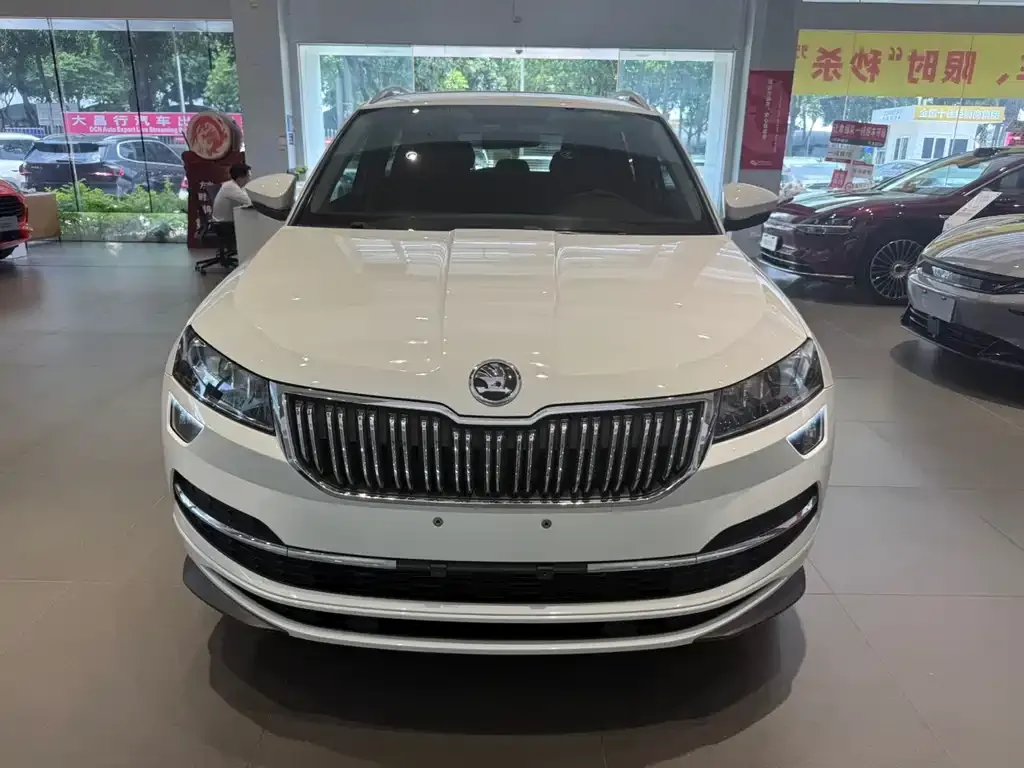 Skoda Karoq — фото 6