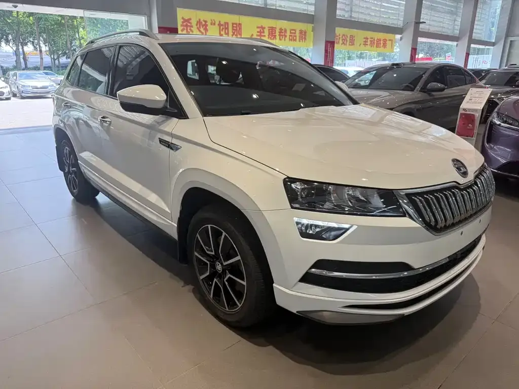 Skoda Karoq — фото 10