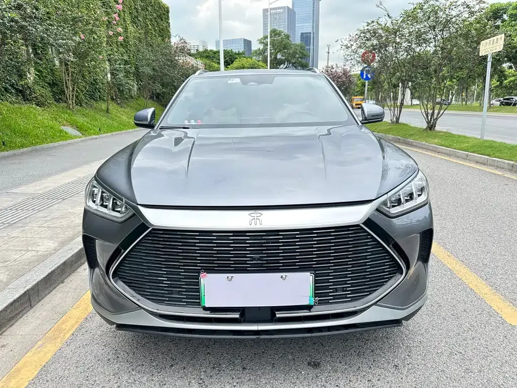 BYD PLUS New Energy — фото 1
