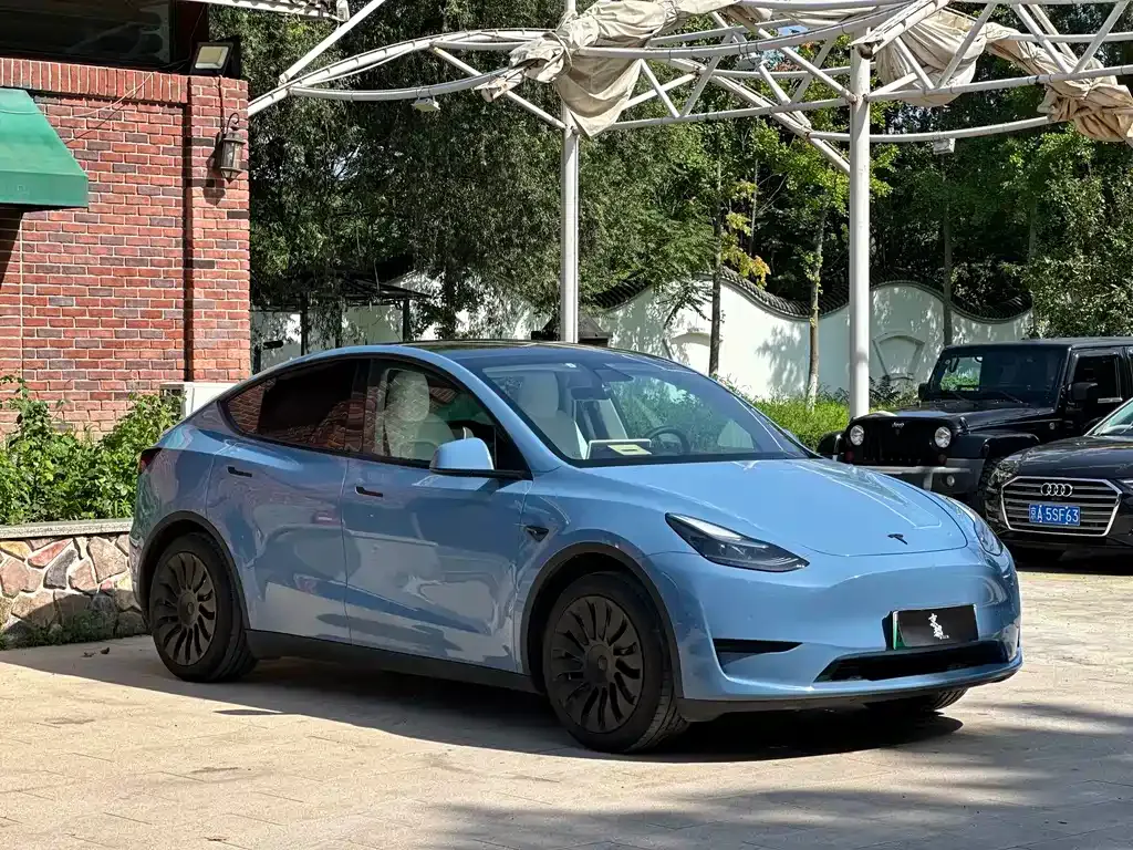 Tesla Model Y — фото 9