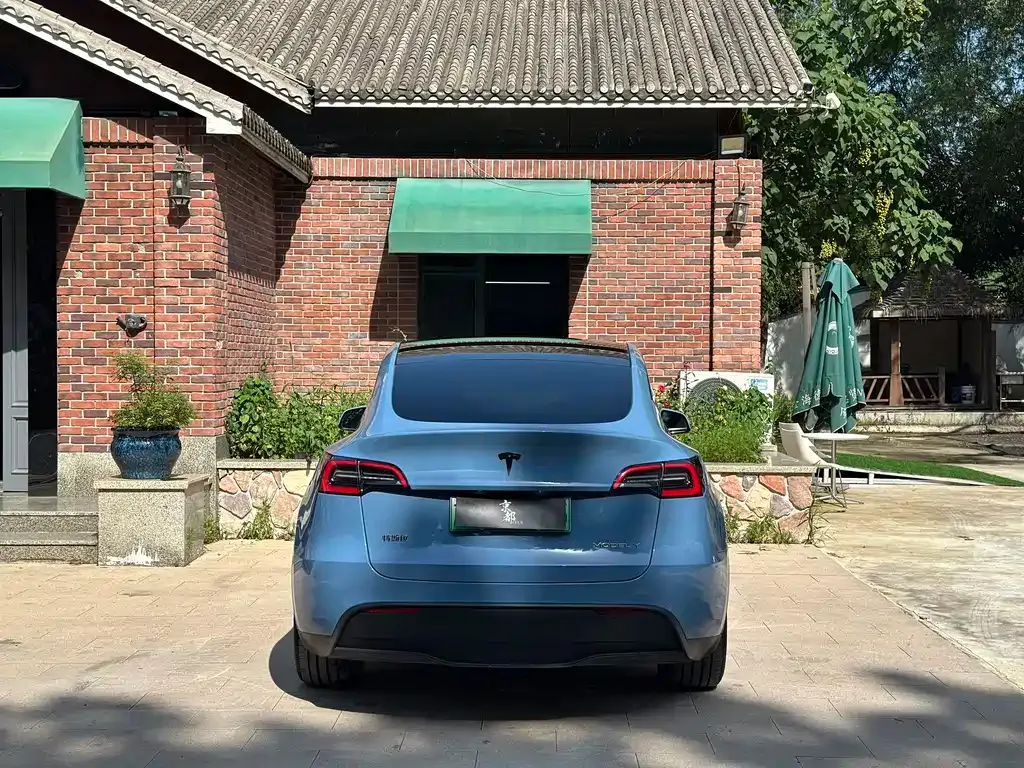 Tesla Model Y — фото 10