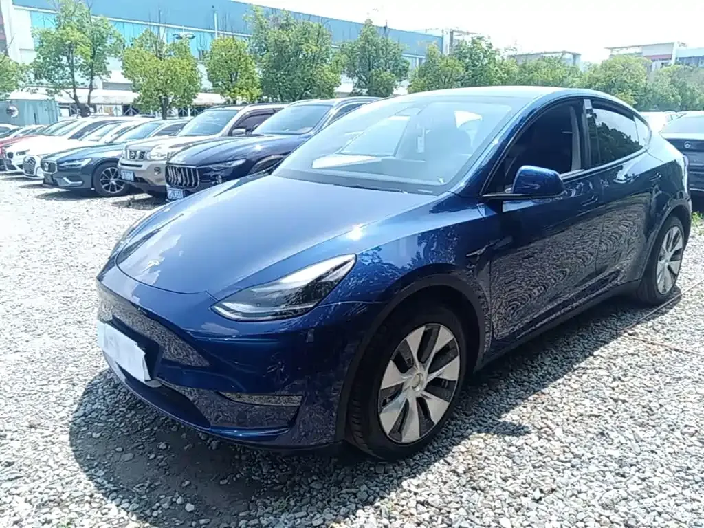 Tesla Model Y — фото 10