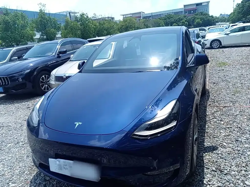 Tesla Model Y — фото 6