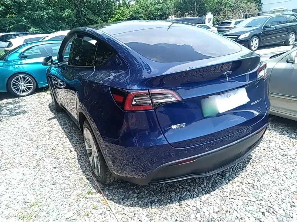Tesla Model Y — фото 5
