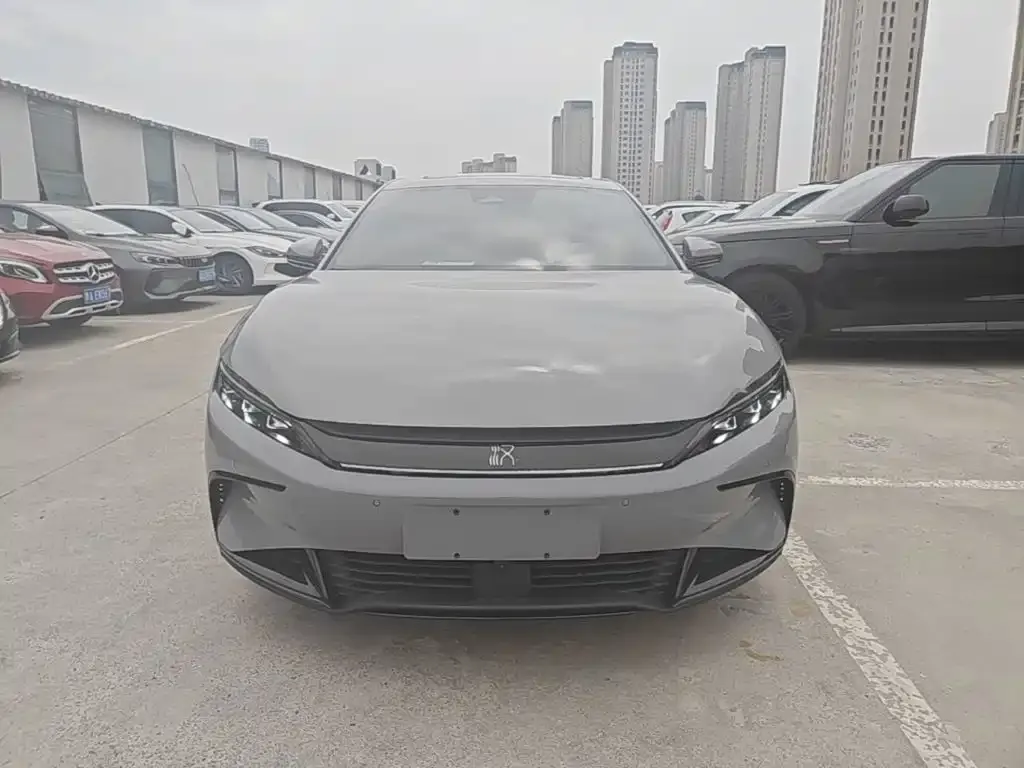 BYD Han — фото 10