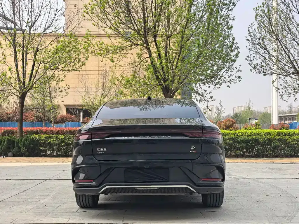 BYD Han — фото 10