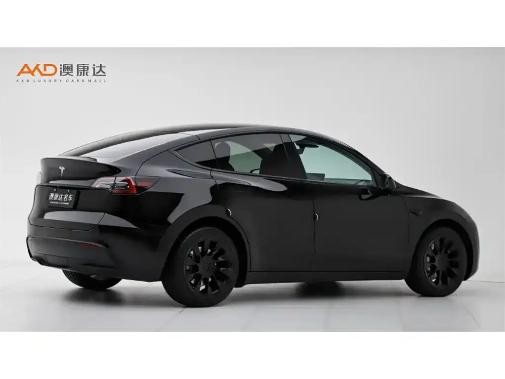 Tesla Model Y — фото 2