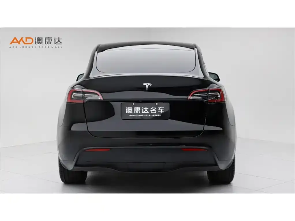 Tesla Model Y — фото 5