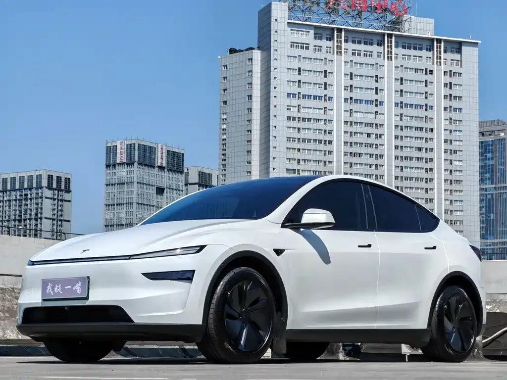 Tesla Model Y — фото 1