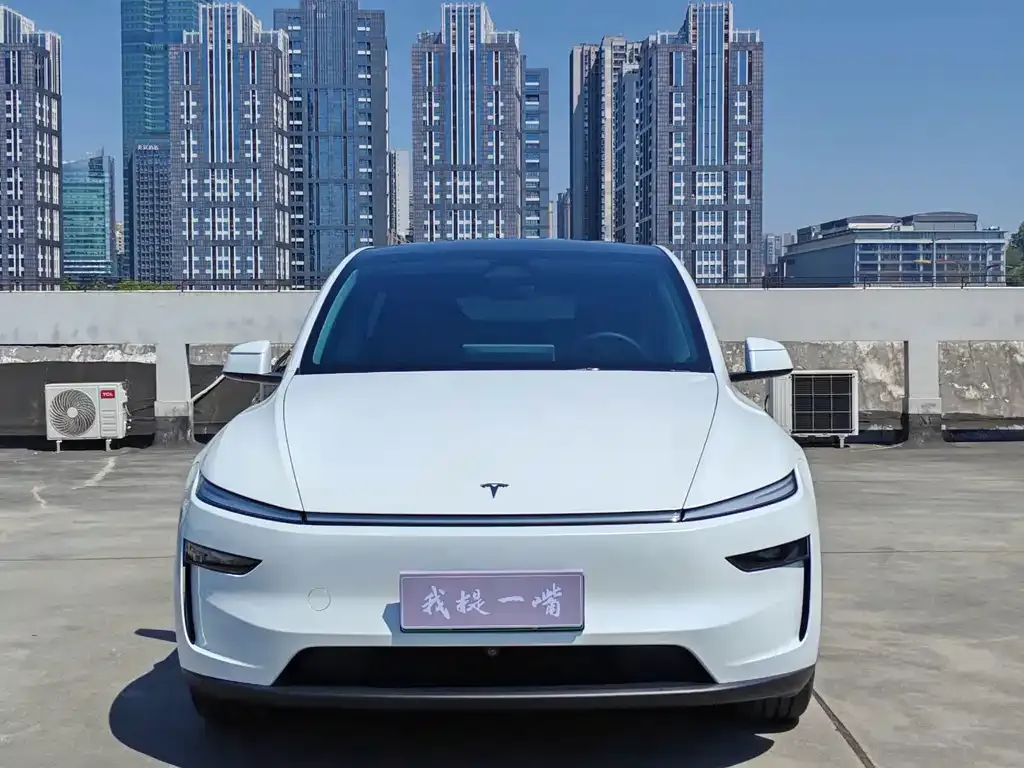 Tesla Model Y — фото 9