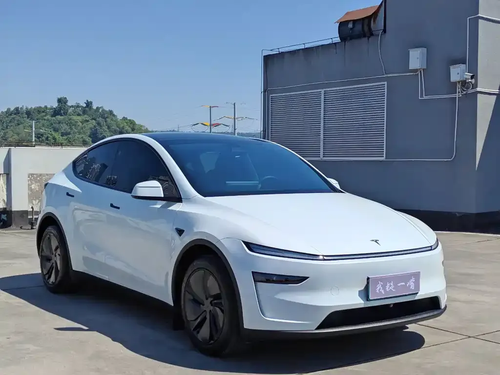 Tesla Model Y — фото 10