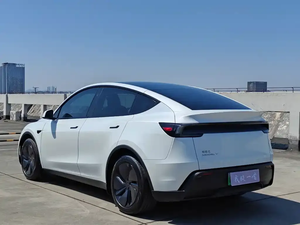 Tesla Model Y — фото 3