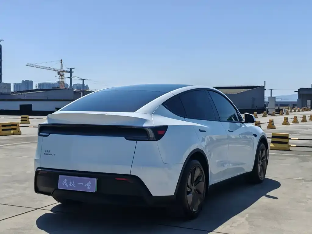 Tesla Model Y — фото 5