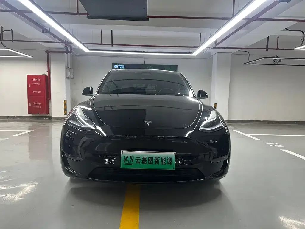 Tesla Model Y — фото 2