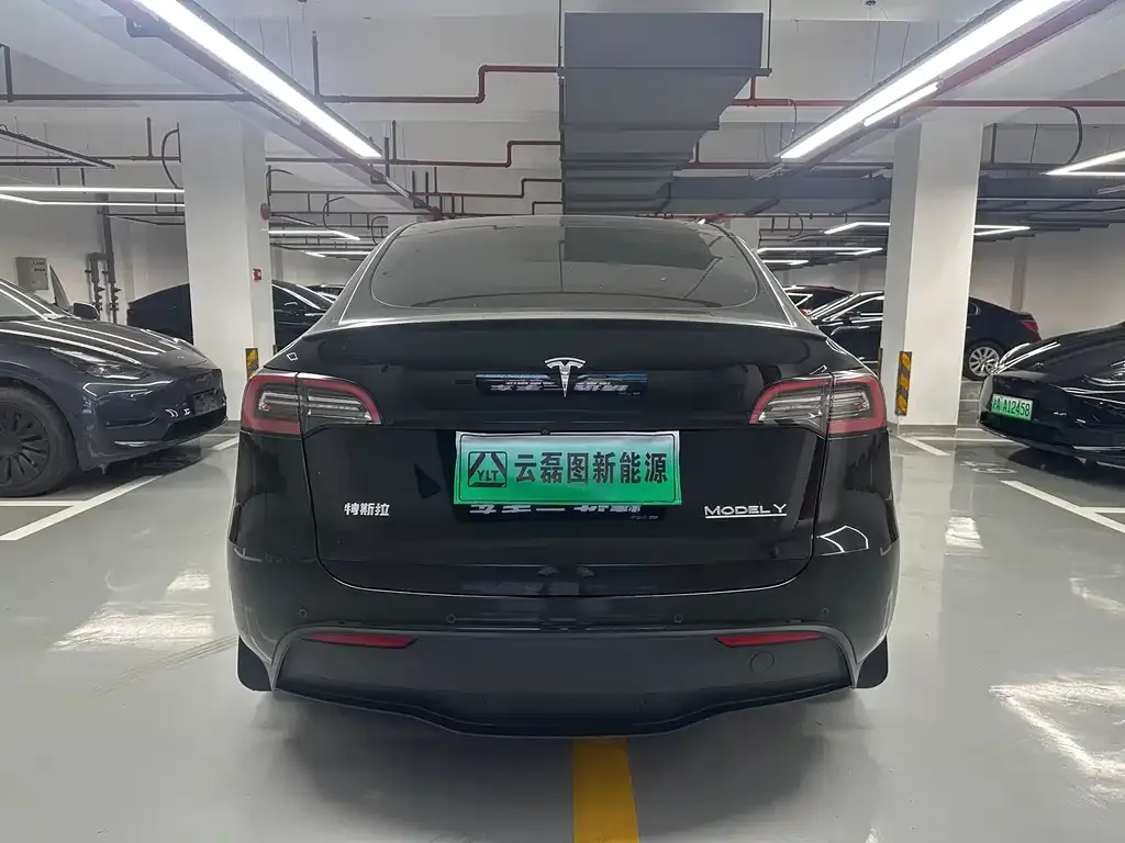 Tesla Model Y — фото 9