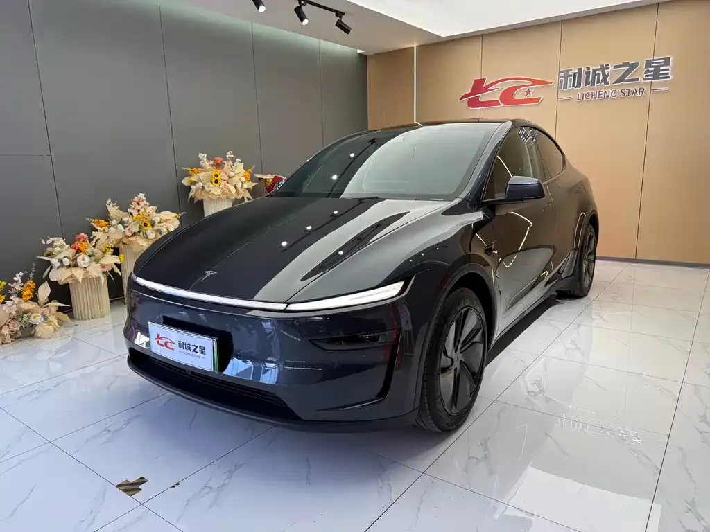 Tesla Model Y — фото 1