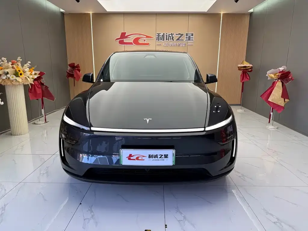 Tesla Model Y — фото 2