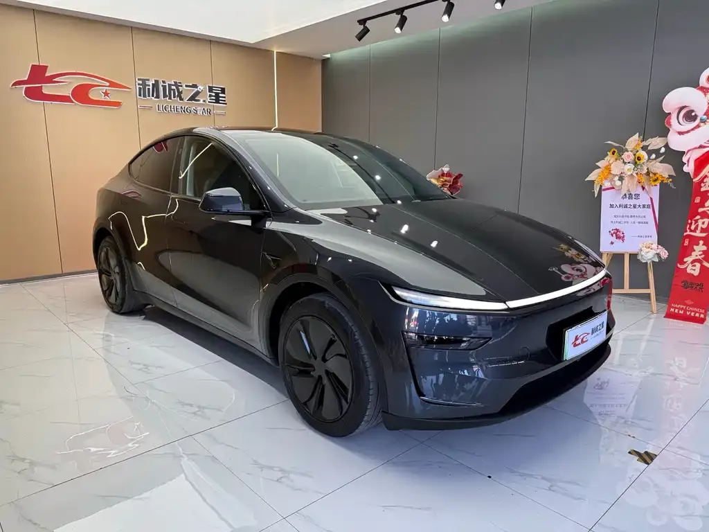 Tesla Model Y — фото 8