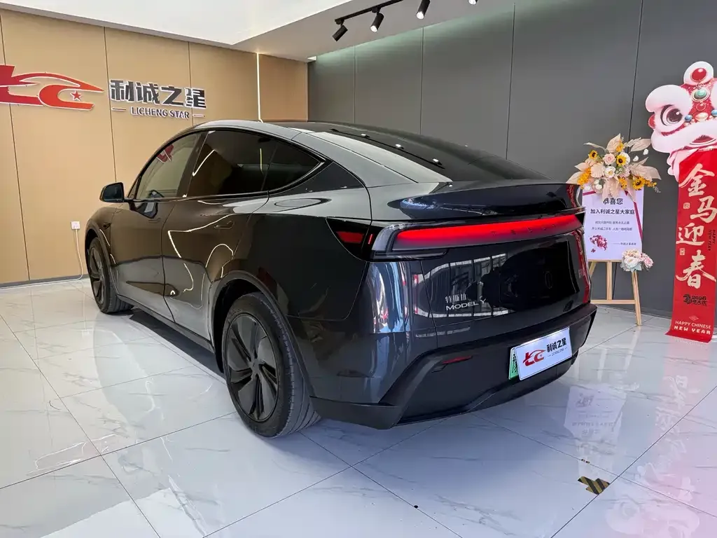 Tesla Model Y — фото 4