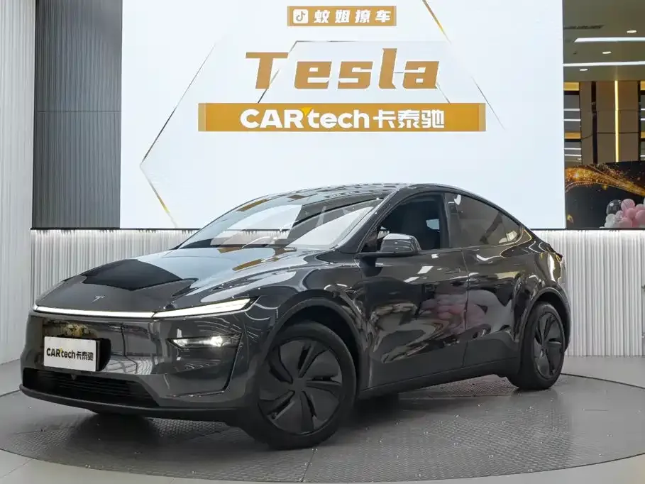 Tesla Model Y — фото 4