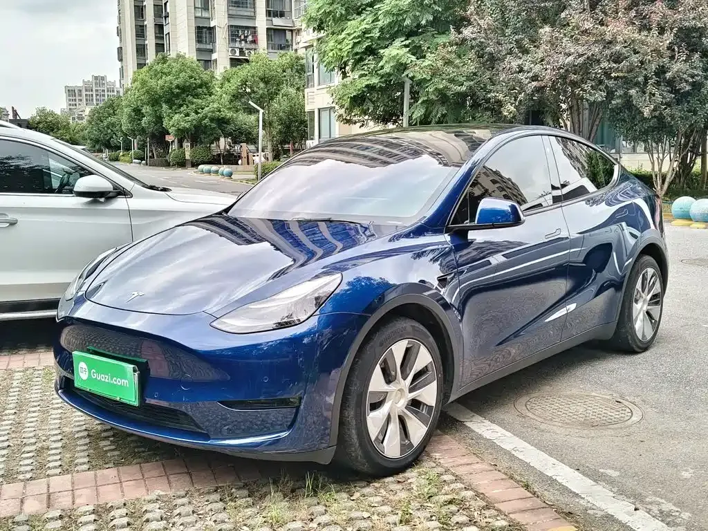 Tesla Model Y — фото 1