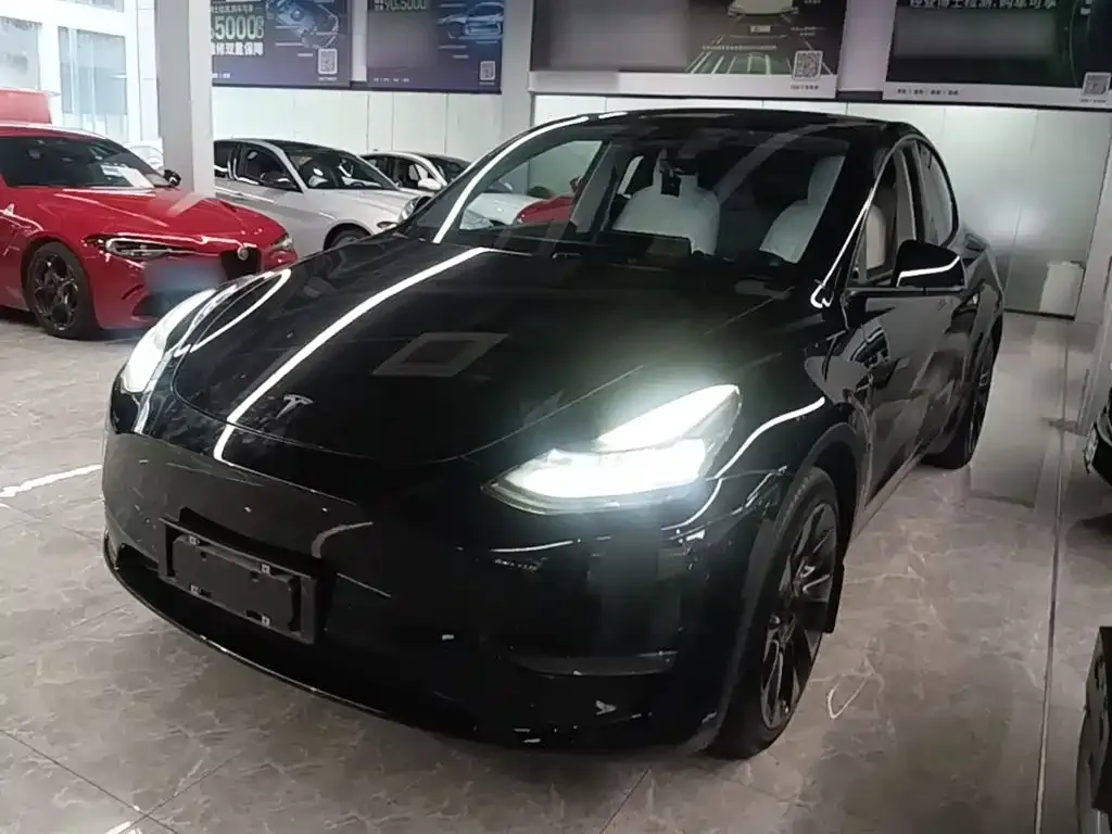 Tesla Model Y — фото 1