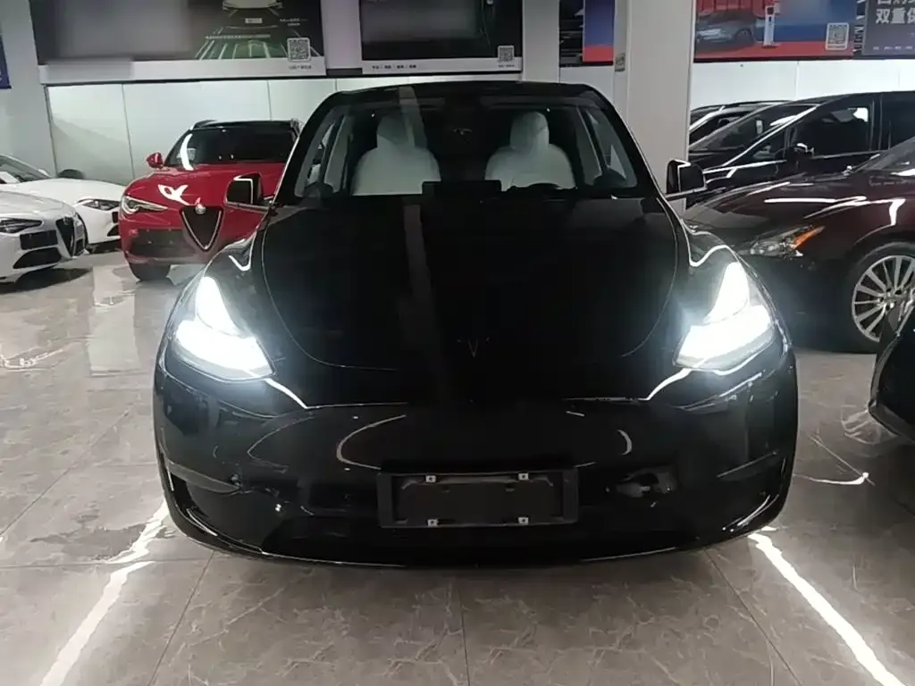 Tesla Model Y — фото 2