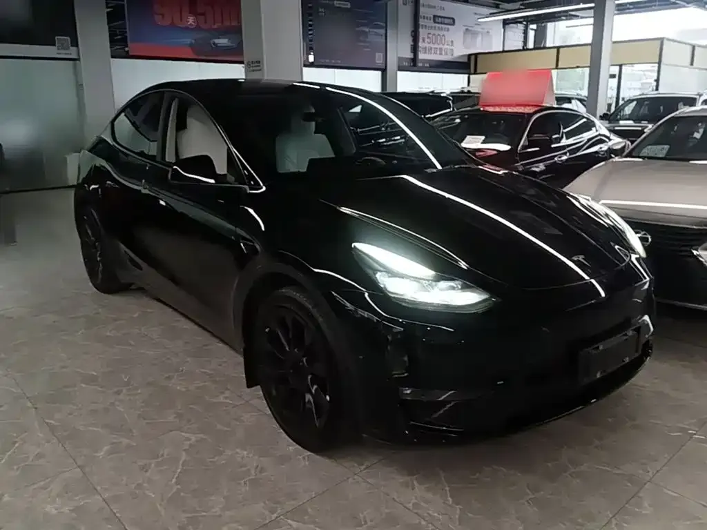 Tesla Model Y — фото 3