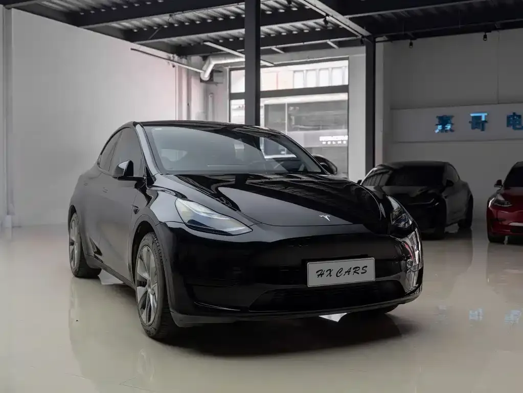 Tesla Model Y — фото 6