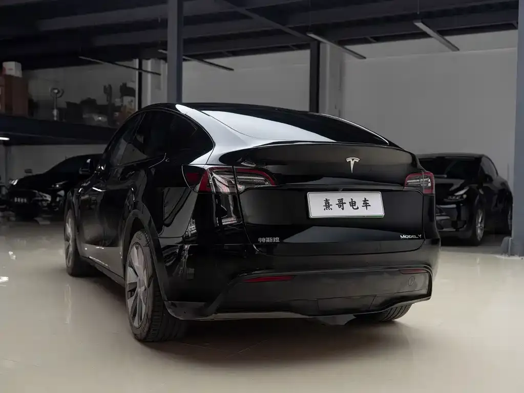 Tesla Model Y — фото 4