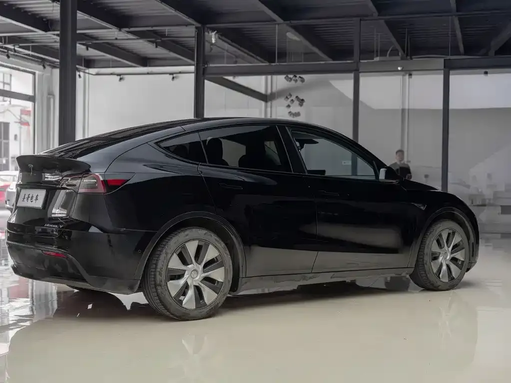 Tesla Model Y — фото 10