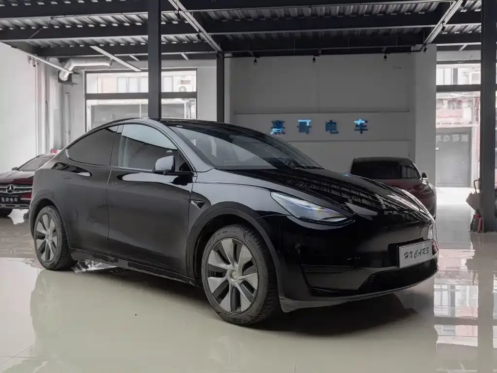 Tesla Model Y — фото 8