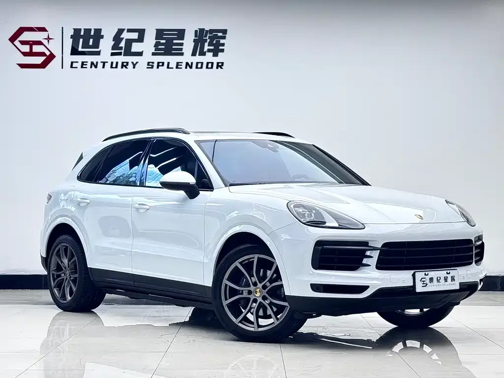 Porsche Cayenne — фото 10