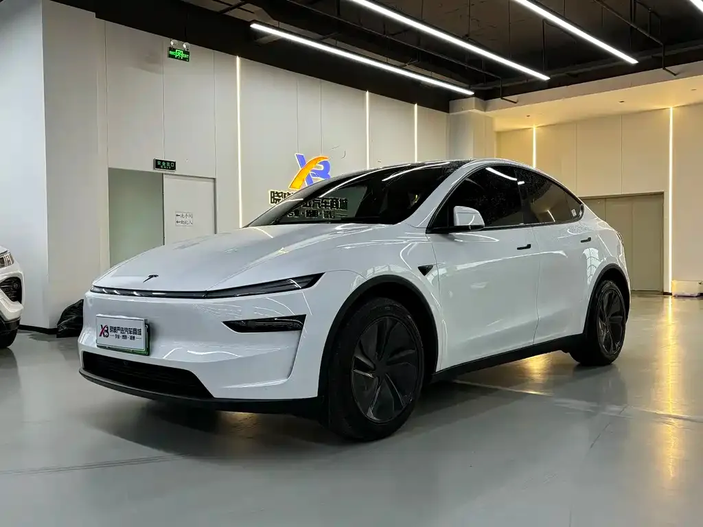 Tesla Model Y — фото 1