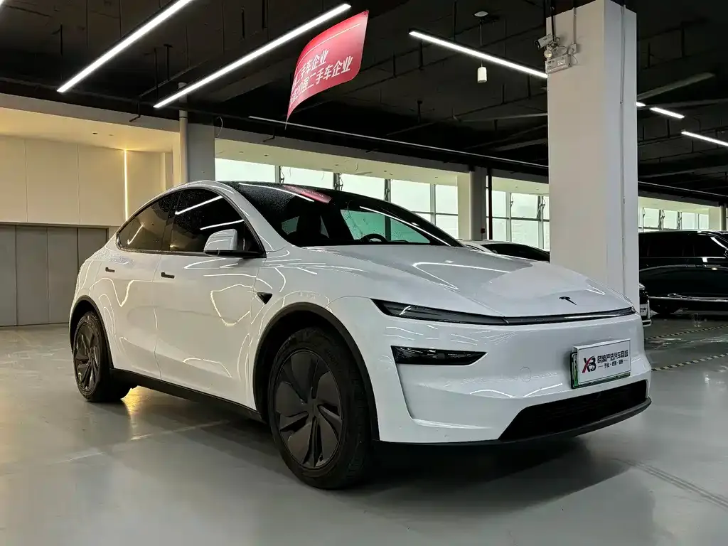 Tesla Model Y — фото 6