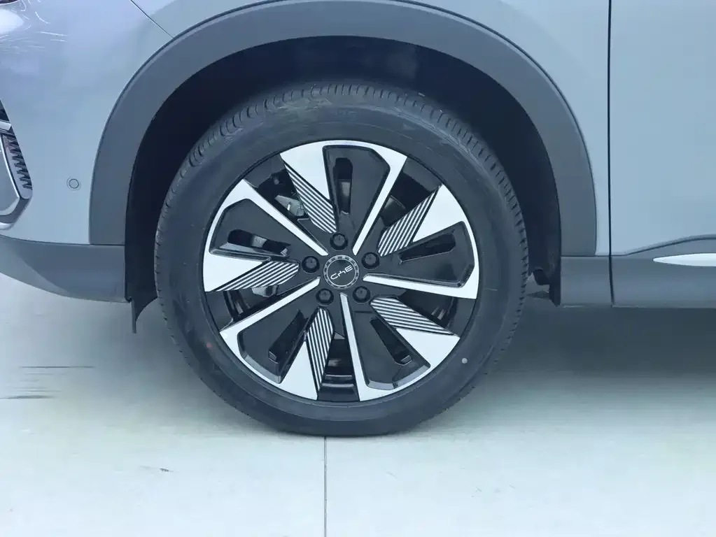 BYD PLUS New Energy — фото 2