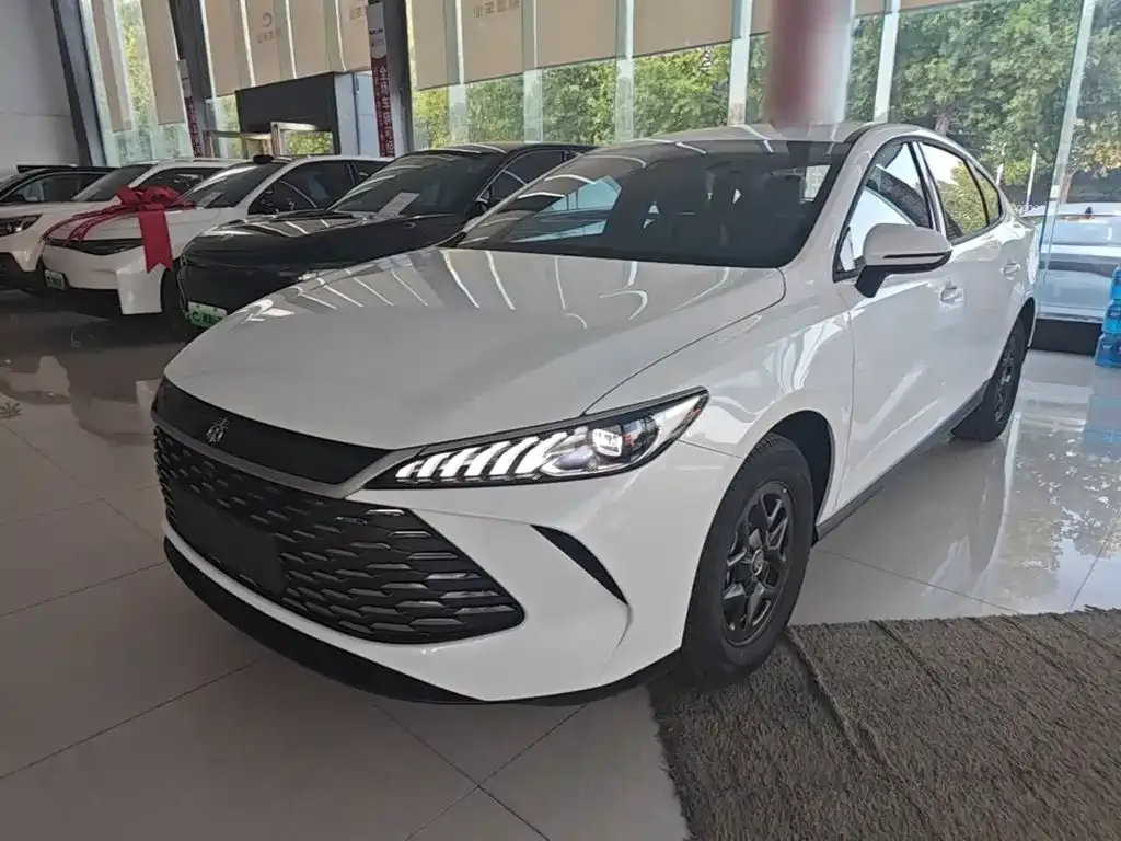 BYD Qin PLUS — фото 9