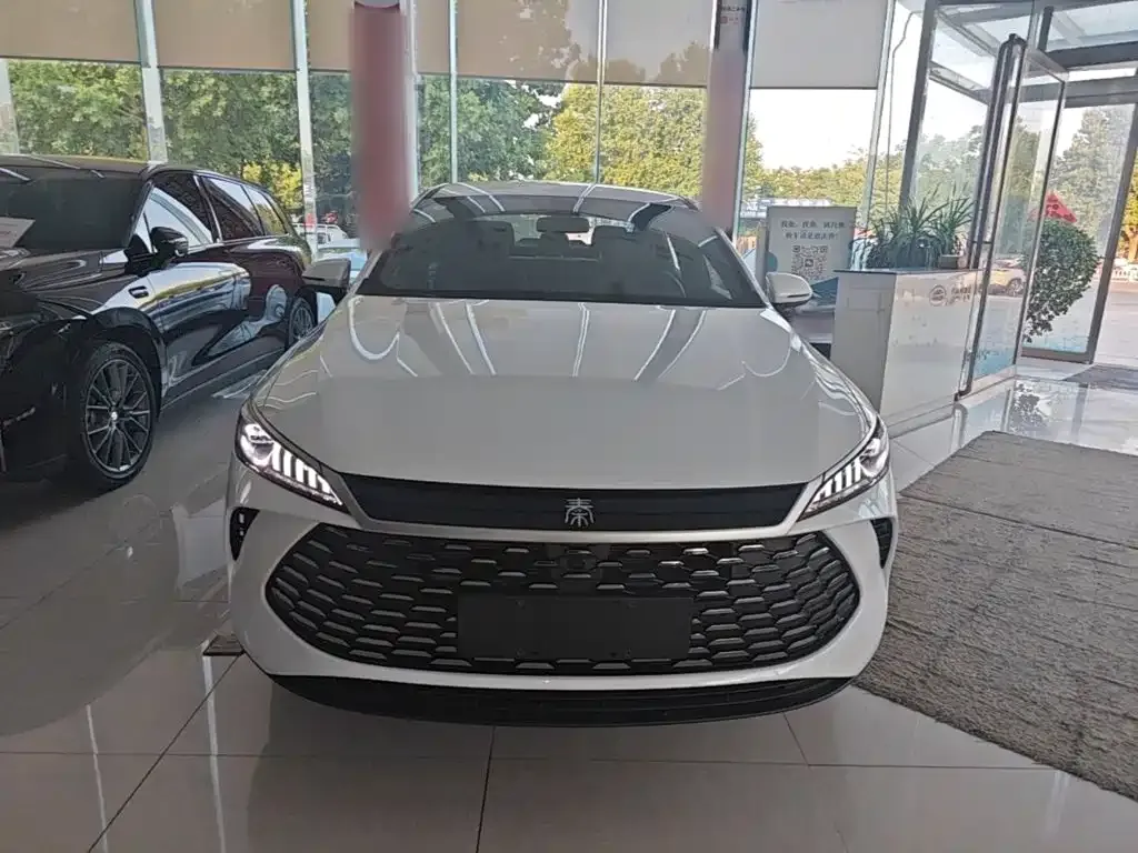 BYD Qin PLUS — фото 3