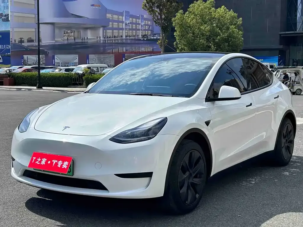 Tesla Model Y — фото 1