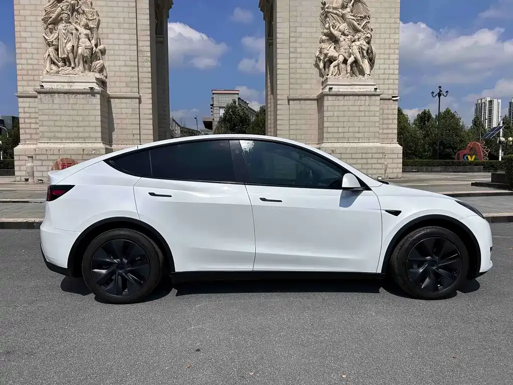 Tesla Model Y — фото 10