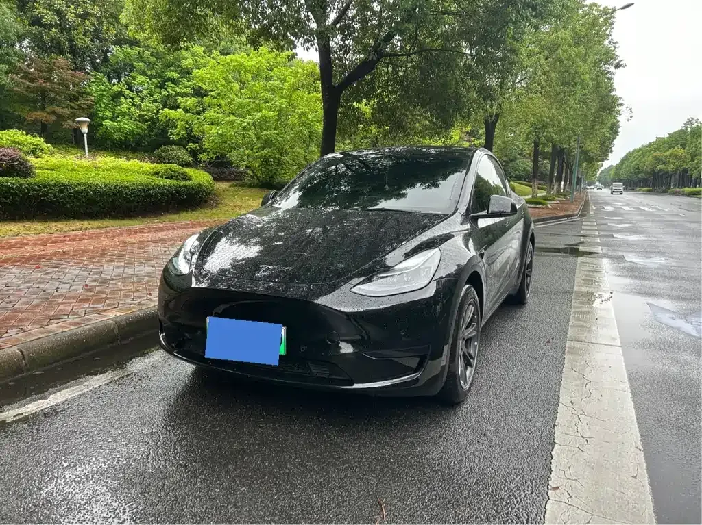 Tesla Model Y — фото 1