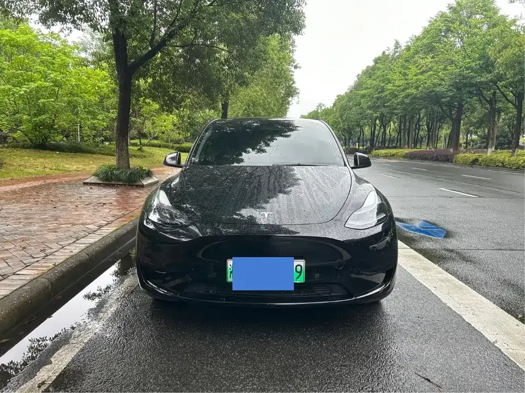 Tesla Model Y — фото 5