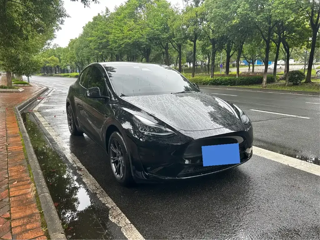 Tesla Model Y — фото 8